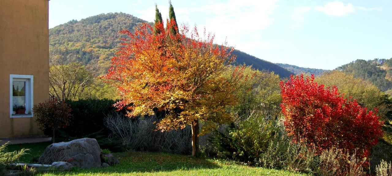 Hisa Posebne Sorte Kodreti Esterno foto